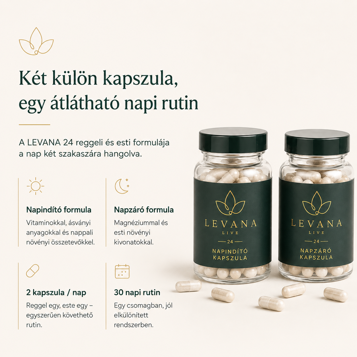 LEVANA 24 – Nappali egyensúly és pihentetőbb éjszakák
