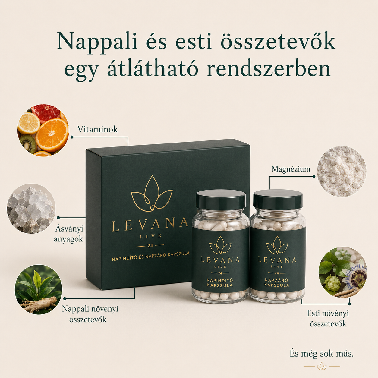 LEVANA 24 – Nappali egyensúly és pihentetőbb éjszakák